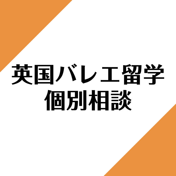 Study Abroad Individual Consultation Ticket